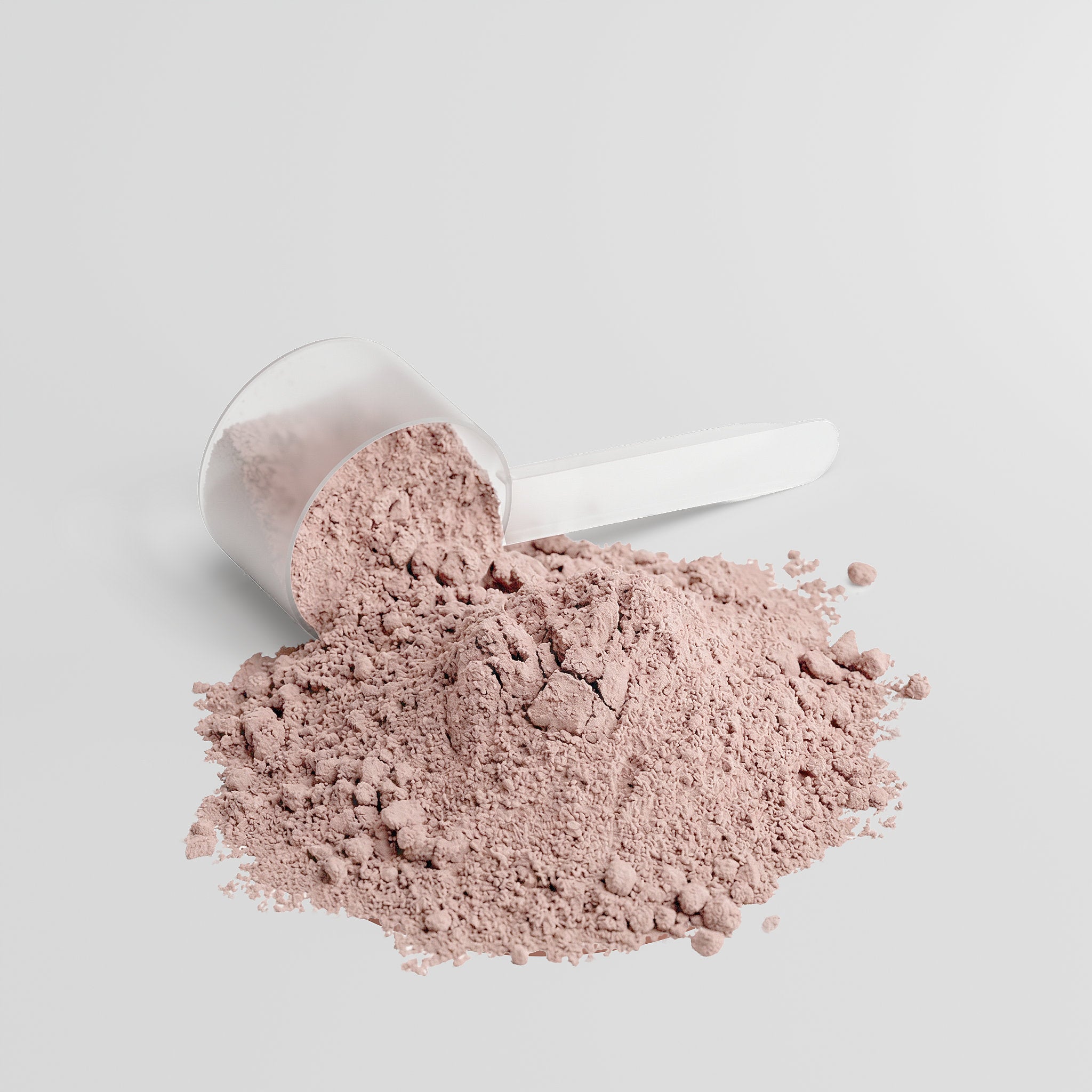 Fortify Protocol Whey Protein Isolate Vanilla - Powder Scoop Close-up